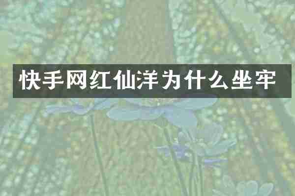 快手网红仙洋为什么坐牢