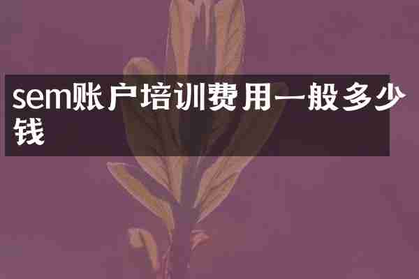 sem账户培训费用一般多少钱