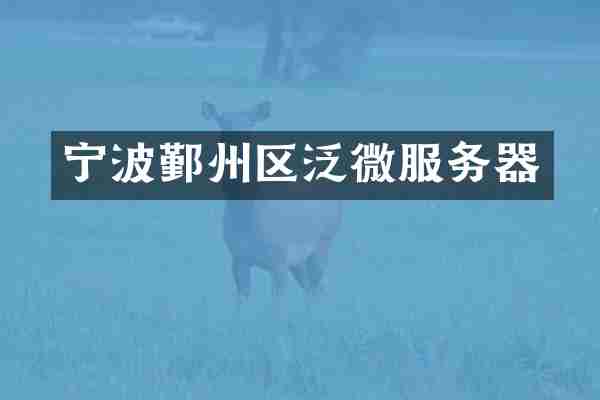 宁波鄞州区泛微服务器