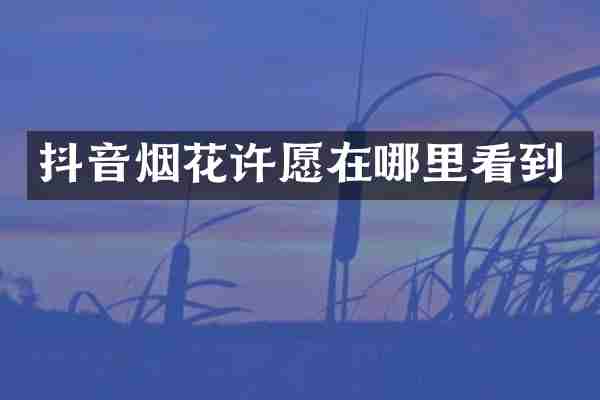 抖音烟花许愿在哪里看到