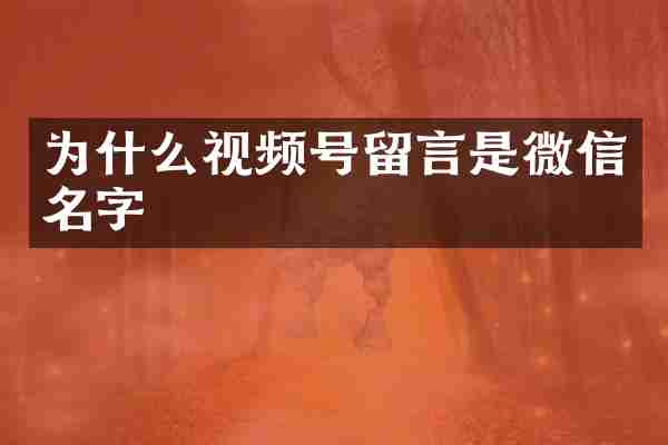 为什么视频号留言是微信名字