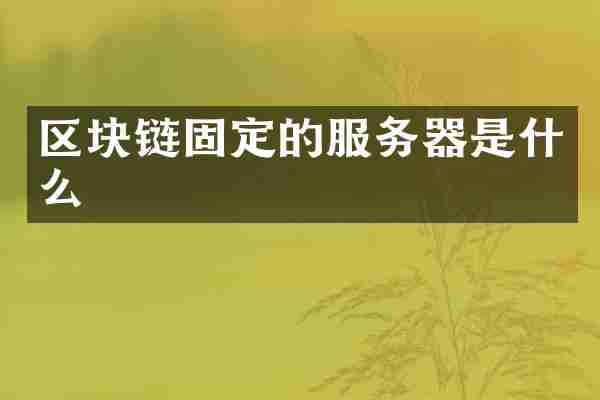 区块链固定的服务器是什么