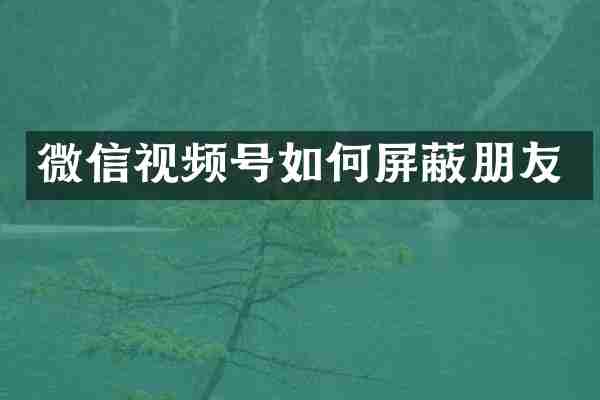 微信视频号如何屏蔽朋友