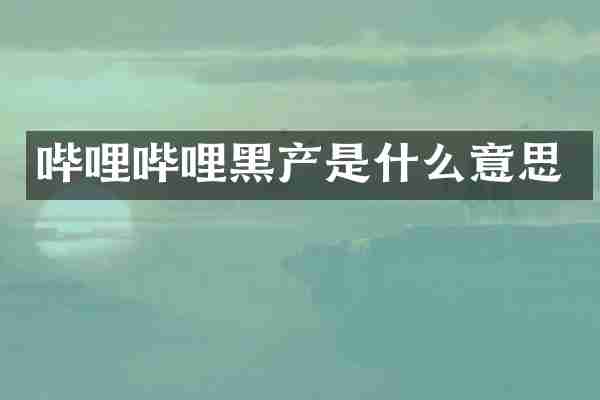 哔哩哔哩黑产是什么意思
