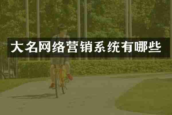大名网络营销系统有哪些