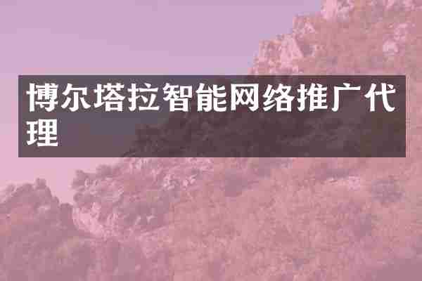 博尔塔拉智能网络推广代理