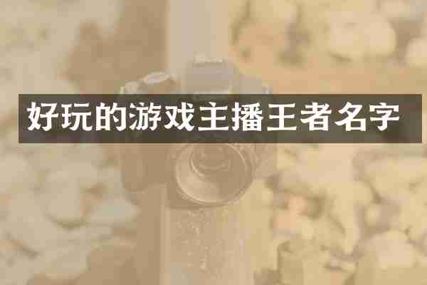 好玩的游戏主播王者名字