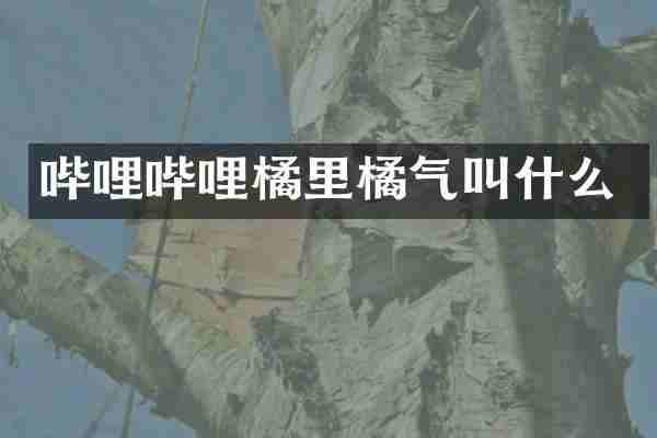 哔哩哔哩橘里橘气叫什么