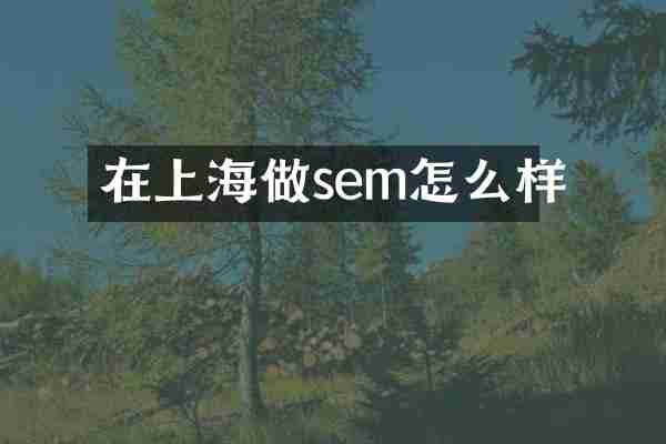 在上海做sem怎么样
