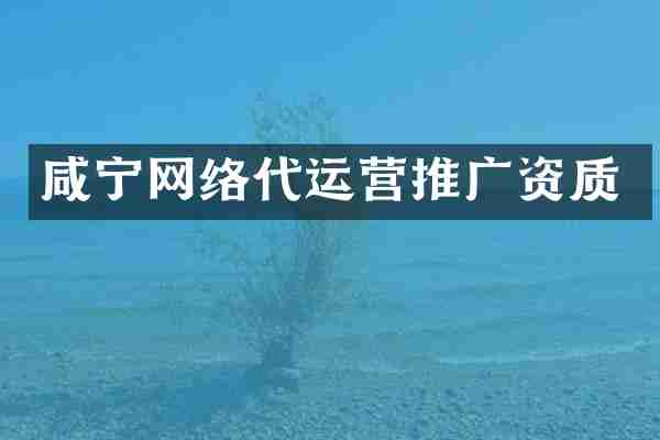 咸宁网络代运营推广资质