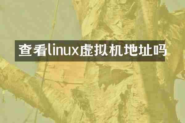 查看linux虚拟机地址吗