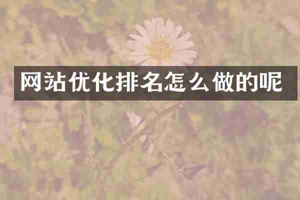 网站优化排名怎么做的呢