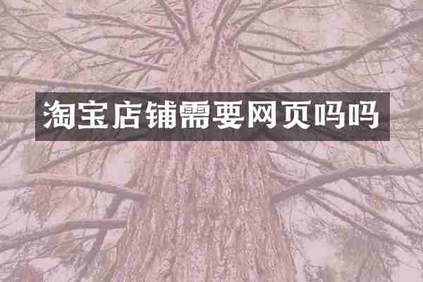 淘宝店铺需要网页吗吗