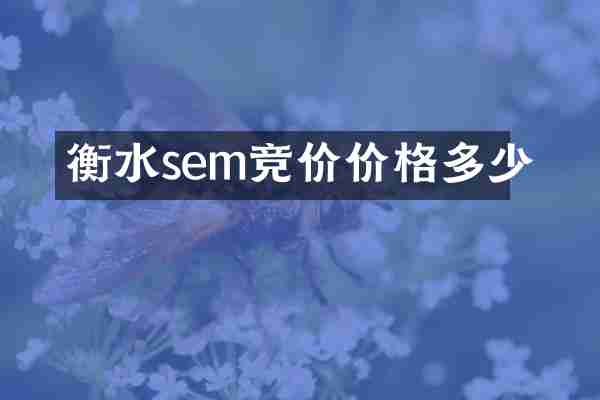 衡水sem竞价价格多少