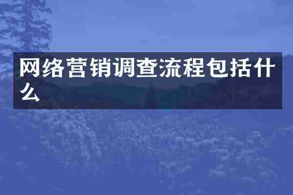 网络营销调查流程包括什么