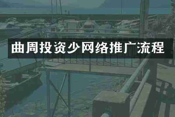 曲周投资少网络推广流程