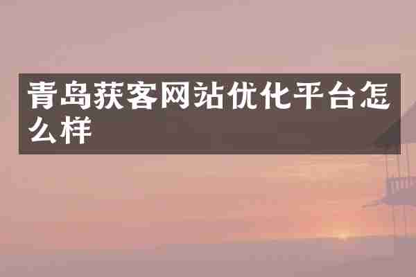 青岛获客网站优化平台怎么样