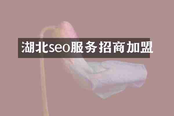 湖北seo服务招商加盟