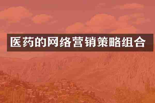 医药的网络营销策略组合