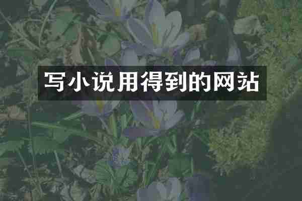 写小说用得到的网站