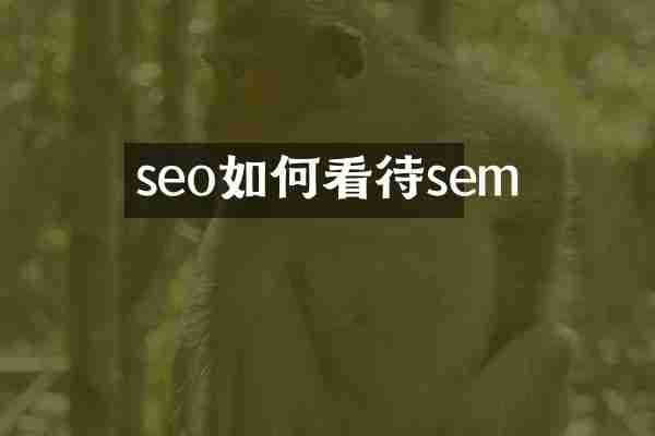 seo如何看待sem