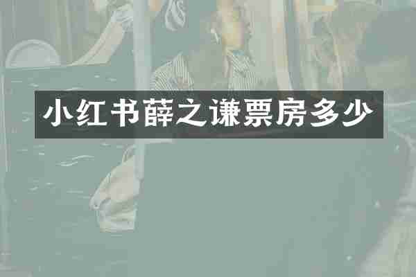 小红书薛之谦票房多少