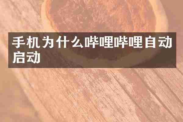 手机为什么哔哩哔哩自动启动