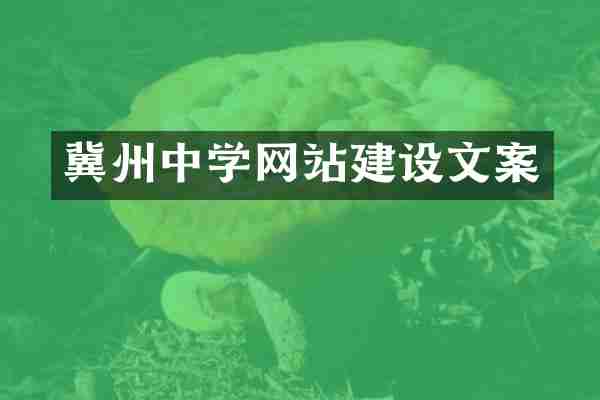 冀州中学网站建设文案