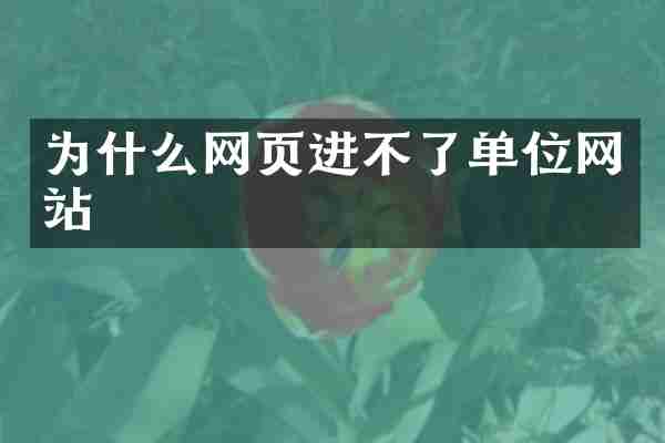 为什么网页进不了单位网站