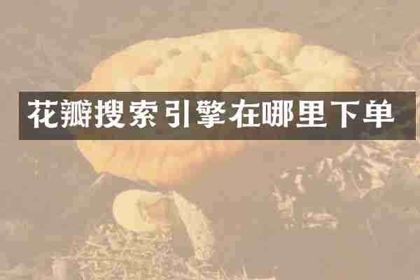花瓣搜索引擎在哪里下单