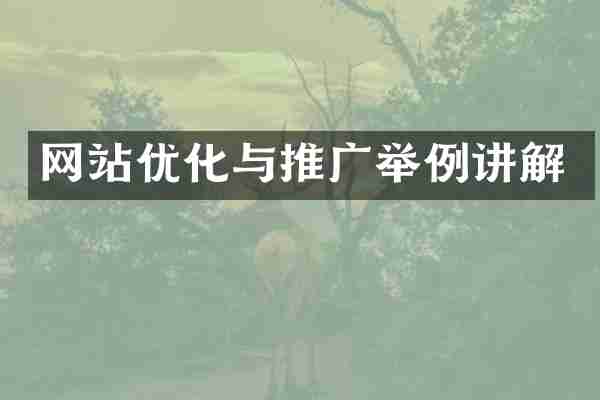 网站优化与推广举例讲解