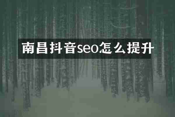 南昌抖音seo怎么提升
