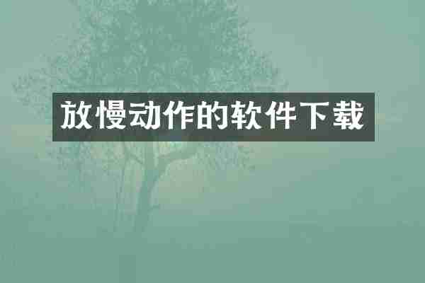 放慢动作的软件下载