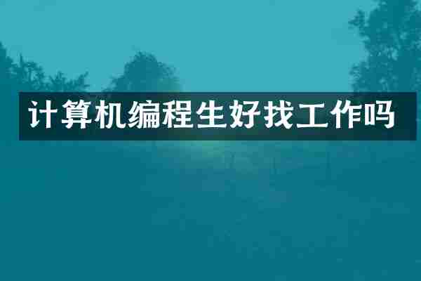计算机编程生好找工作吗