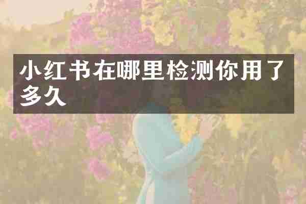 小红书在哪里检测你用了多久
