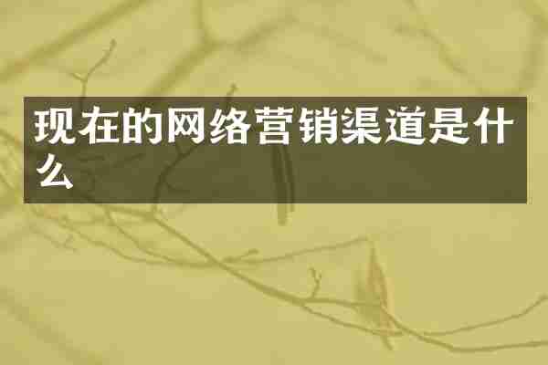 现在的网络营销渠道是什么