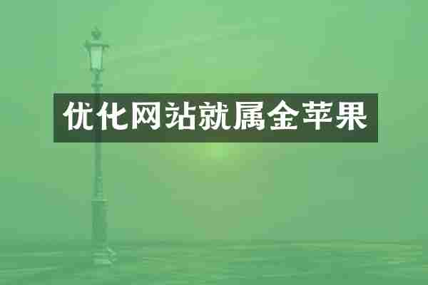 优化网站就属金苹果