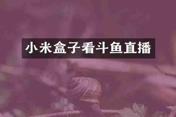 小米盒子看斗鱼直播