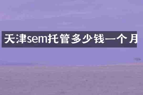 天津sem托管多少钱一个月