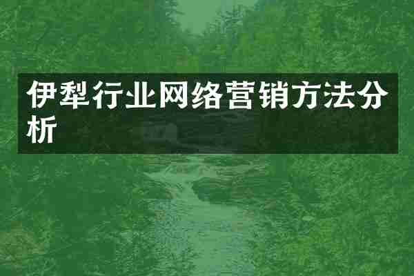 伊犁行业网络营销方法分析