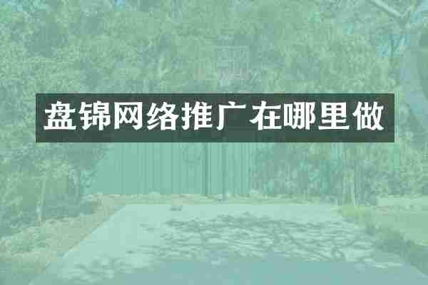 盘锦网络推广在哪里做