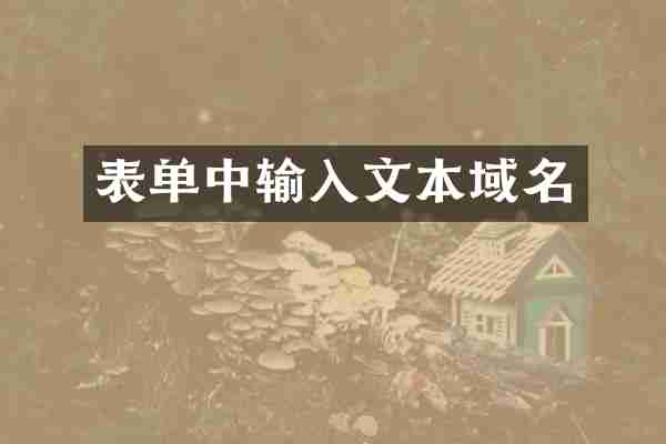 表单中输入文本域名