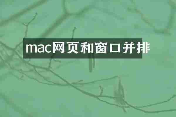 mac网页和窗口并排