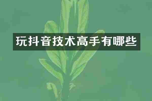 玩抖音技术高手有哪些