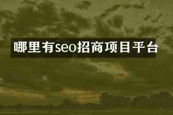 哪里有seo招商项目平台