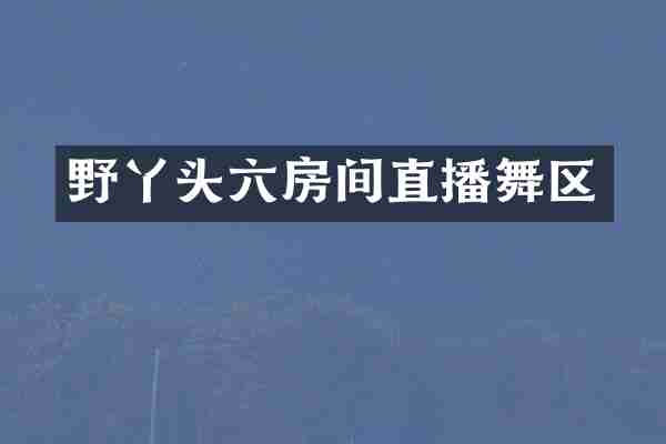野丫头六房间直播舞区