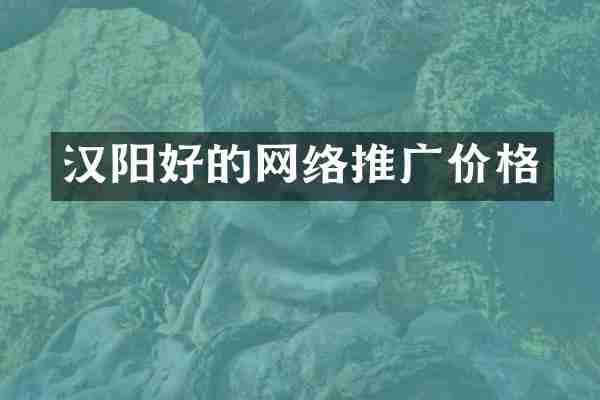 汉阳好的网络推广价格