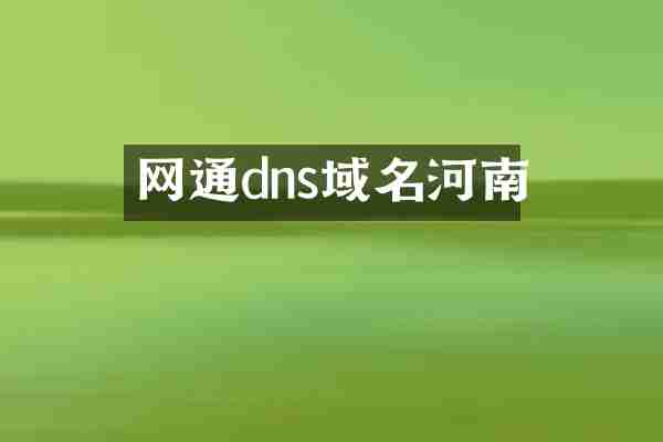 网通dns域名河南