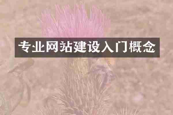 专业网站建设入门概念