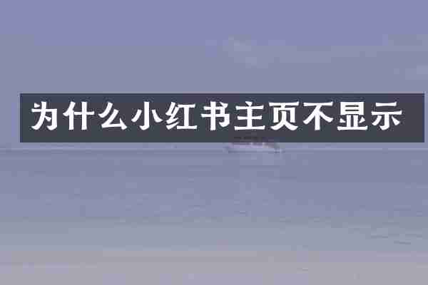 为什么小红书主页不显示